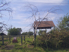 Fred, Indian Territory [IMG 2]