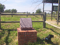 Fred, I.T., Marker