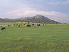 Wichita Mountains Wildlife Refuge