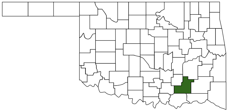 atoka