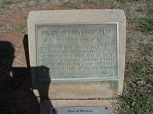 Exploring Oklahomam History